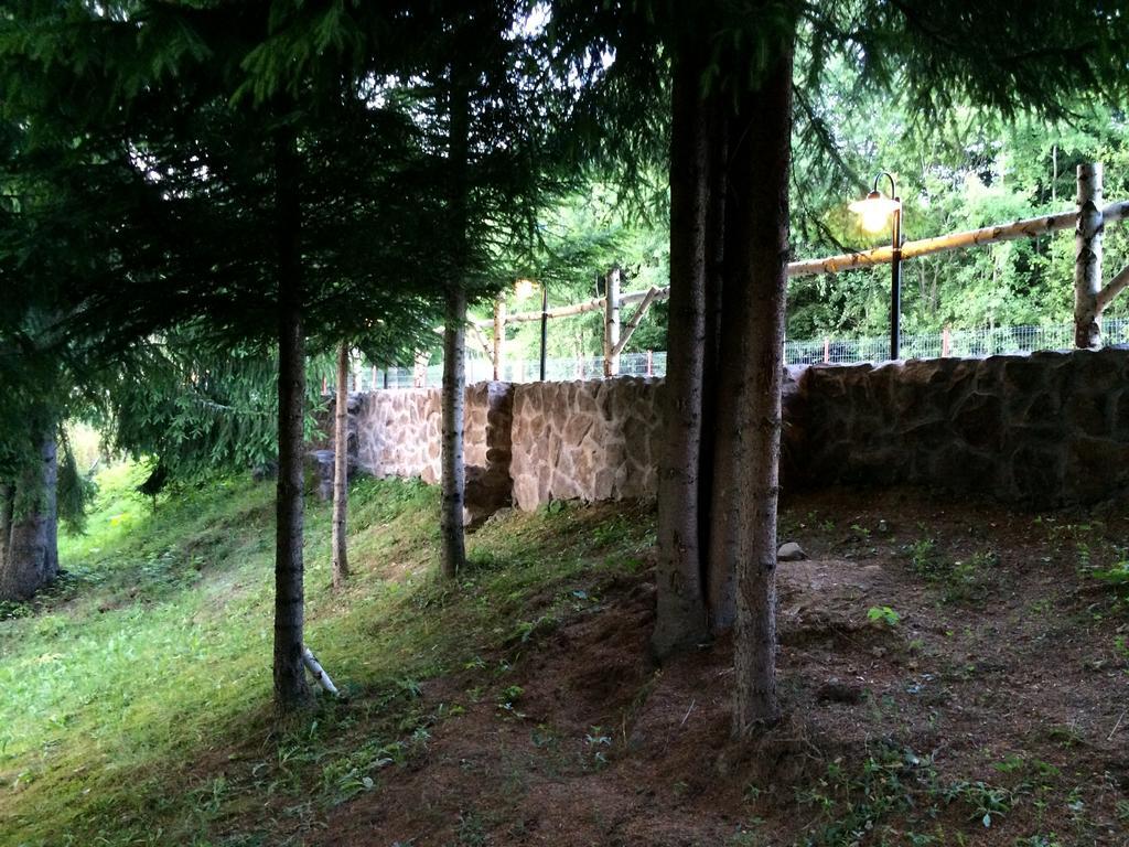 Casa Laur Cu Plaja Privata Ξενοδοχείο Colibiţa Εξωτερικό φωτογραφία